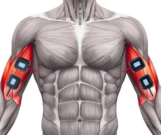 accufit-study-anne-chapas-8.jpg