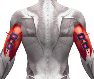accufit-study-anne-chapas-9.jpg